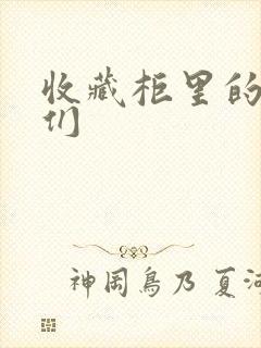 收藏柜里的男人们