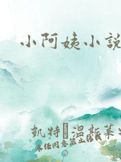 小阿姨小说