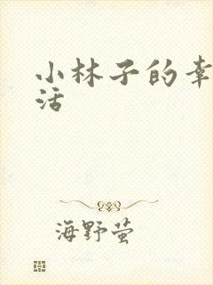 小林子的幸福生活