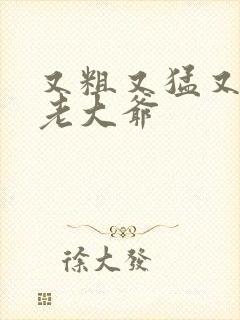 又粗又猛又大爽老大爷