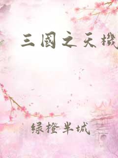 三国之天机军师