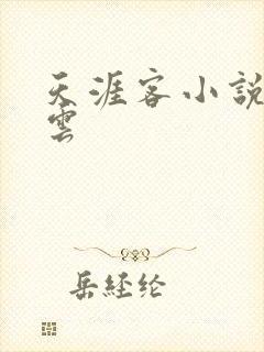 天涯客小说百度云