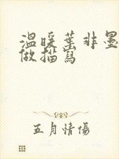 温暖叶非墨车内做描写