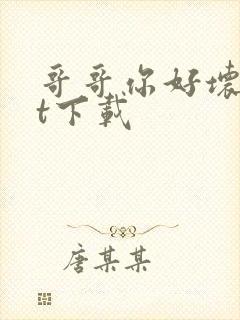 哥哥你好坏txt下载