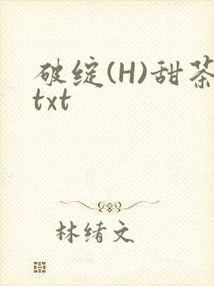 破绽(H)甜茶txt