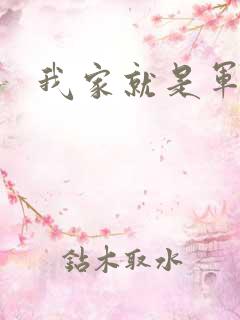 我家就是军火铺