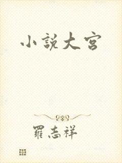 小说大宫