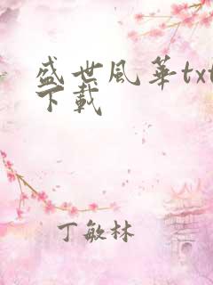 盛世风华txt下载