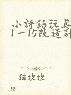 小诗的玩具日记1一15改造计划