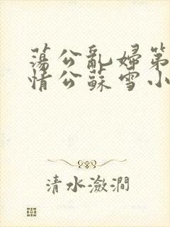 荡公乱妇第1章情公苏雪小说