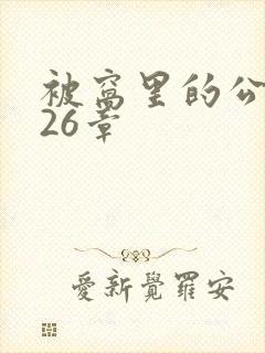 被窝里的公憩第26章