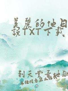 美丽的他日剧小说TXT下载