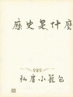 历史是什么玩意