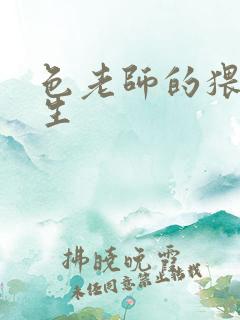 色老师的猥琐人生