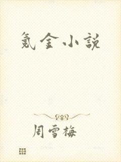 氪金小说