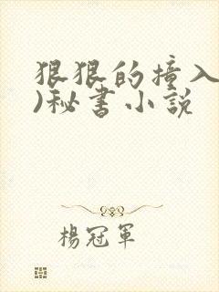 狠狠的撞入(h)秘书小说