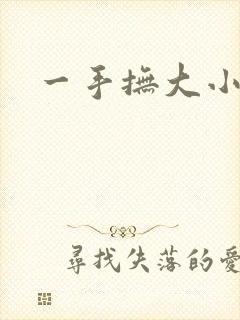 一手抚大小说