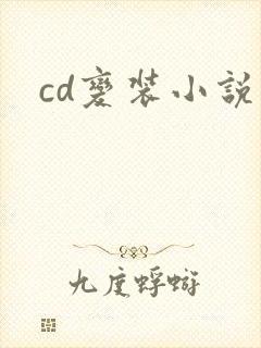 cd变装小说