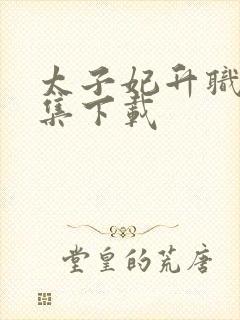 太子妃升职记全集下载