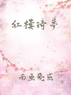 红楼琦梦