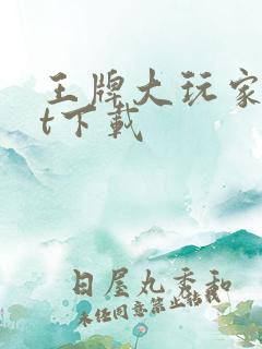 王牌大玩家txt下载