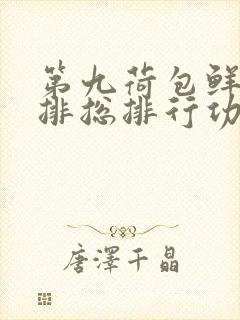 第九荷包鲜辣肉排总排行功能介绍