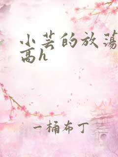 小芸的放荡日记高h