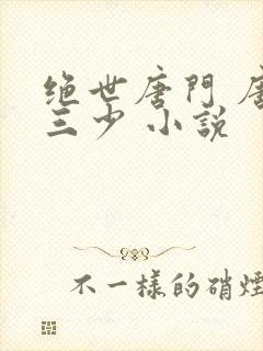 绝世唐门 唐家三少 小说