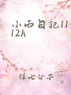 小雨日记11-12h