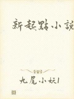 新起点小说网