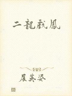 二龙戏凤