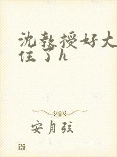 沈教授好大含不住了h