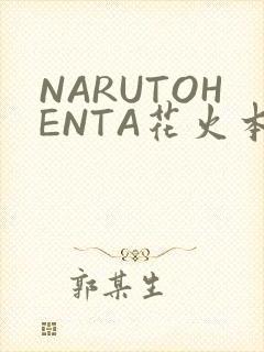 NARUTOHENTA花火本子