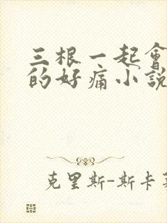 三根一起会坏掉的好痛小说