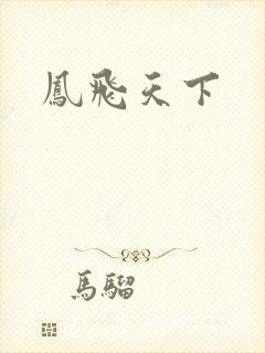 凤飞天下