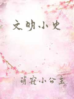 文明小史