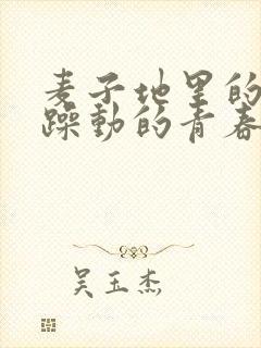 麦子地里的故事躁动的青春小说