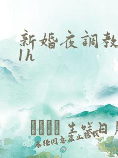 新婚夜调教1v1h