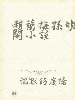 赵兰梅孙明笔趣阁小说