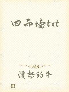 四面墙txt