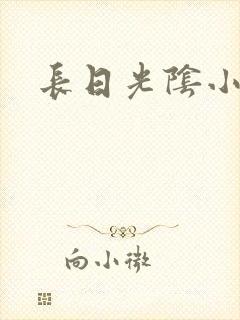 长日光阴小说