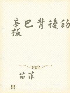 辛巴背后的人老板