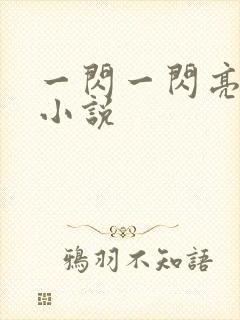 一闪一闪亮星星小说