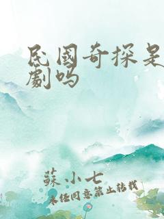 民国奇探是耽改剧吗