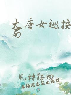 大唐女巡按大结局