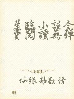 叶临小说全文免费阅读无弹窗