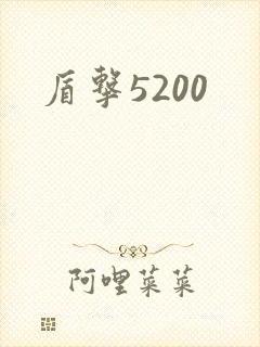 盾击5200