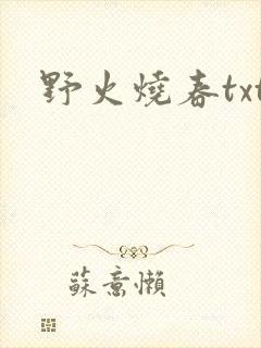野火烧春txt
