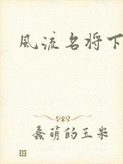 风流名将下载