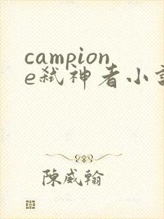campione弑神者小说
